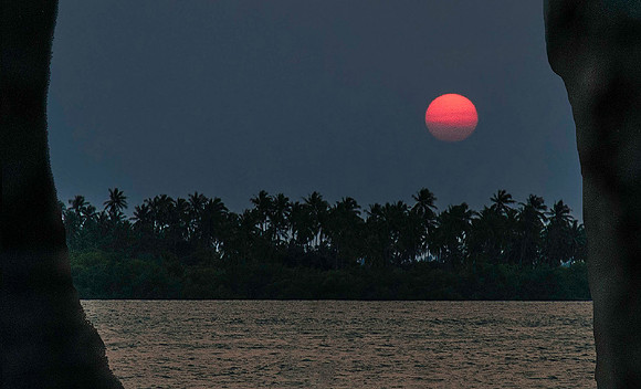 Chole Island, off the coast of Mafia Island 1543