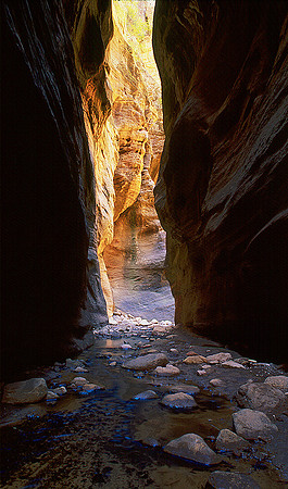 Orderville Canyon, Virgin River 003