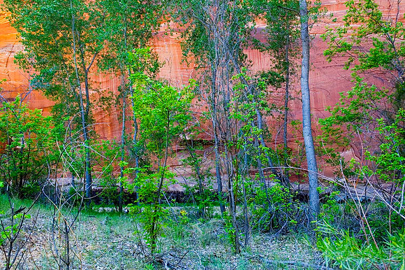 Zion National Park 9068