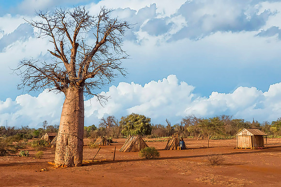 Morondava240303