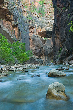 Zion Narrows, Virgin River 9148