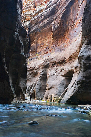 Zion Narrows, Virgin River 9188