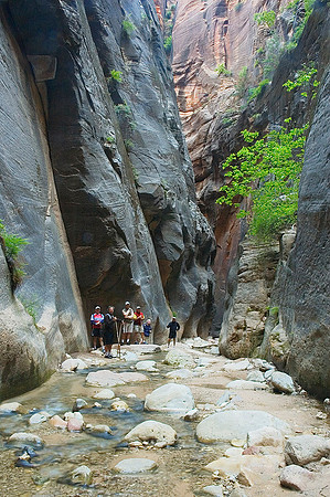 Orderville Canyon, Virgin River 9172