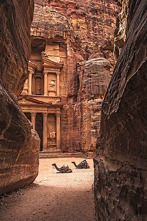 Petra 06307