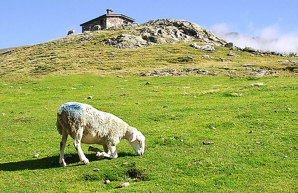 Gavernie, France 0672