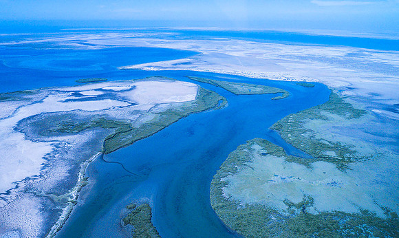 San Ignacio Lagoon 3060020