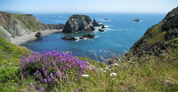 Mendocino County Coast 5299