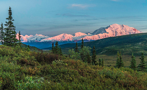 Denali, Denali National Park 6409