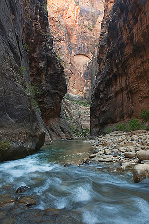 Zion Narrows, Virgin River 9218