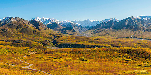 Denali National Park 6395