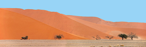 Dune "45" - Namibia, 2010