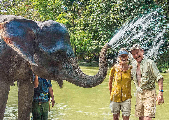 Elephant 09047
