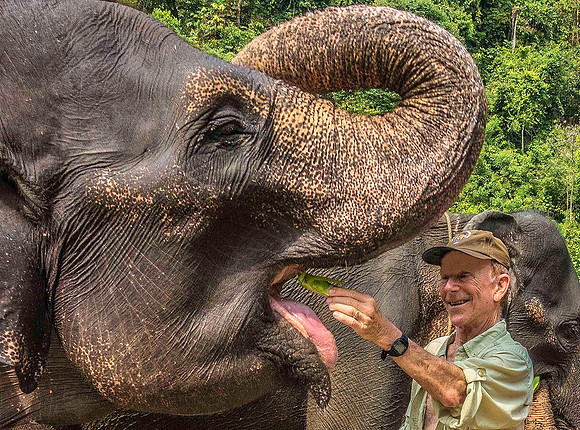 Elephant 09052