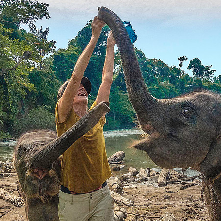 Elephant 09061