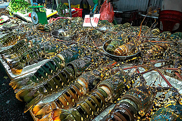 Da Nang08406