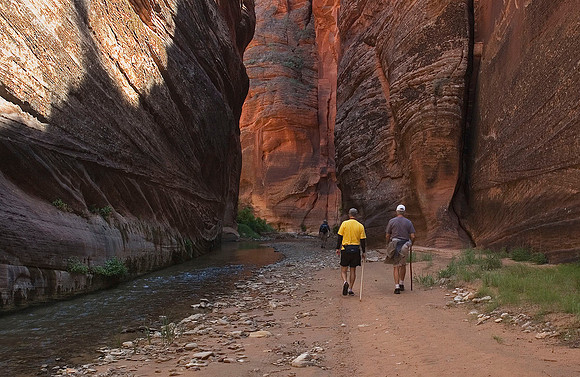 Parunuweap Canyon 9062