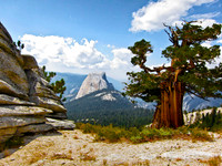Half Dome 2047