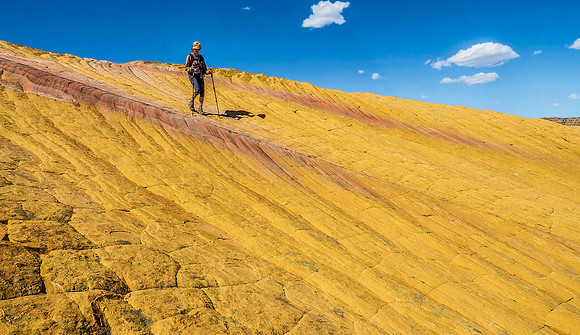 Yellow Rock 5270561