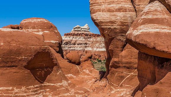 Blue Canyon, Hopi Reservation 5260498