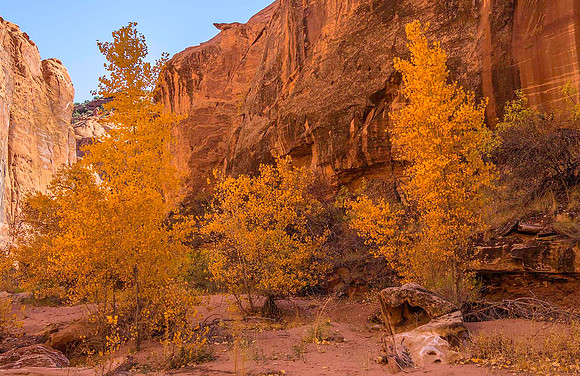 Wolverine Canyon0 20108