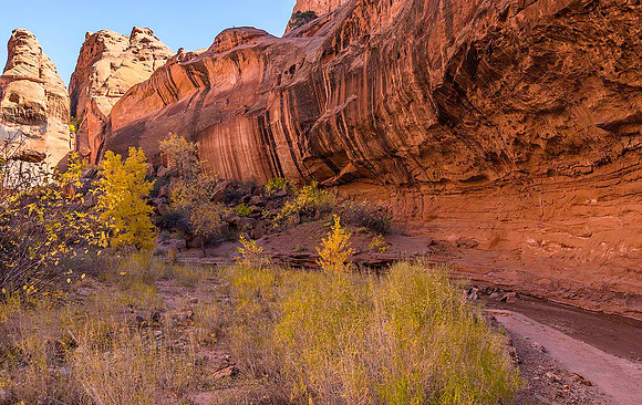 Wolverine Canyon 020110