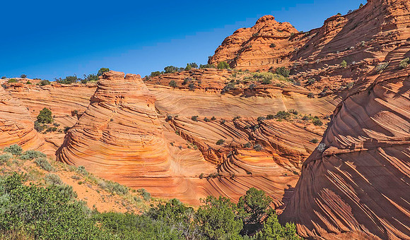 Paw Hole, South Coyote Buttes 5280586