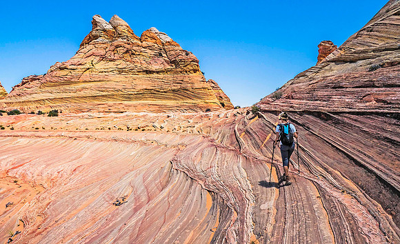 Cottonwood Cove, South Coyote Buttes 5280625