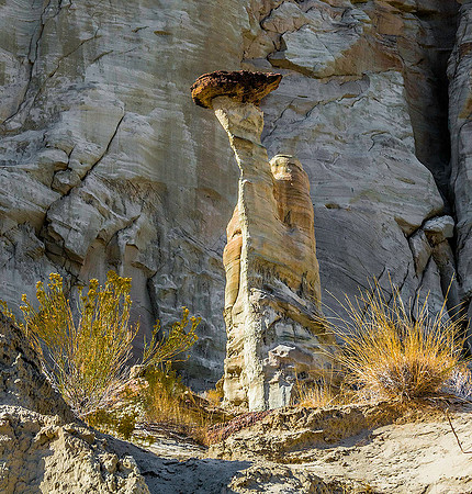 Wahweap Hoodoos 290007