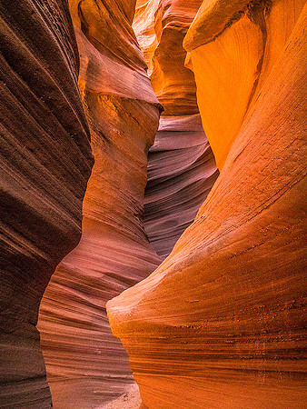 Mountain Sheep Canyon 5240365