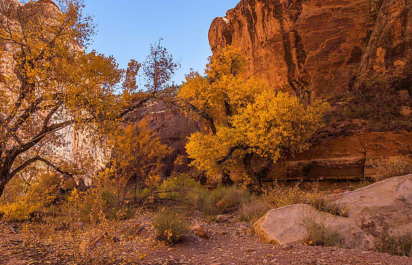 Wolverine Canyon 020104