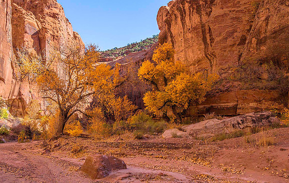 Wolverine Canyon 020105
