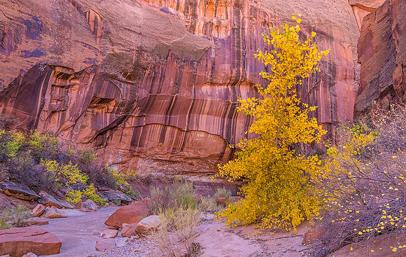 Wolverine Canyon020103