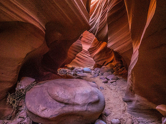 Mountain Sheep Canyon 5240348