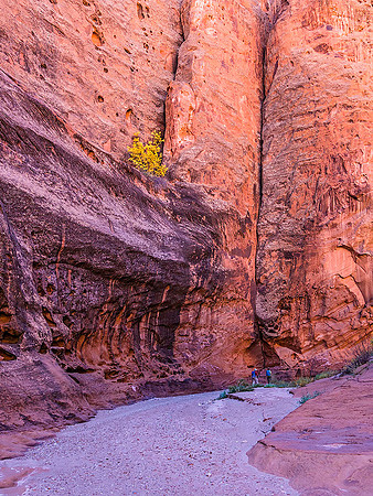 Wolverine Canyon 020112