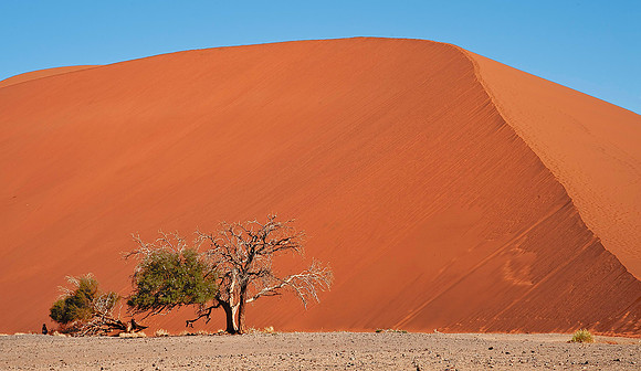 "Dune 45" - Sossusvlei Dunes 5770