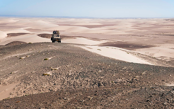 Skeleton Coast 6173