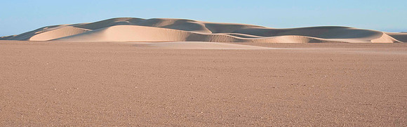 Skeleton Coast 6219