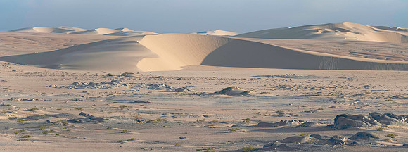 Skeleton Coast 6016