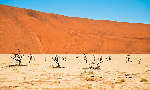 "Deadvlei" - Sossusvlei Dunes 5750