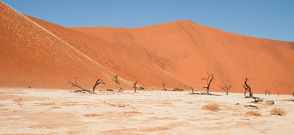 "Deadvlei" - Sossusvlei Dunes 5752