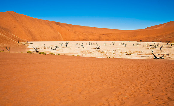 "Deadvlei" - Sossusvlei Dunes 5759