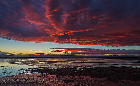Atacama Salt Flats 8061502
