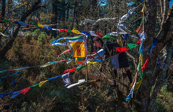 Hanging Prayer Flags, DochuLa Pass 6424