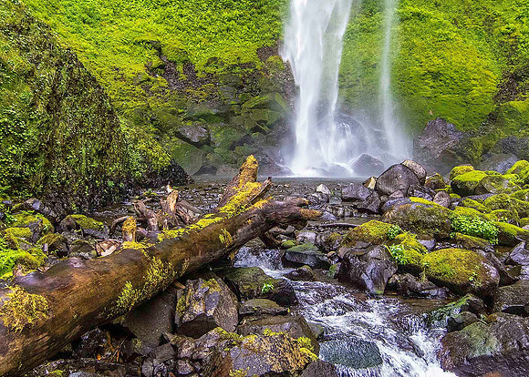 Elowah Falls 4480
