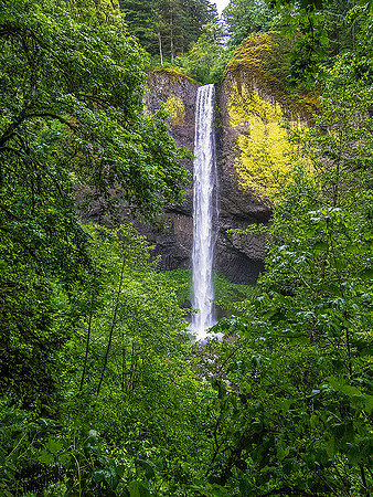 Latourell Falls 4543