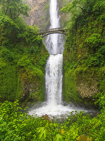 Multnomah Falls 4601