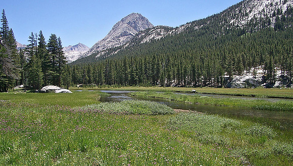 Evolution Valley 2