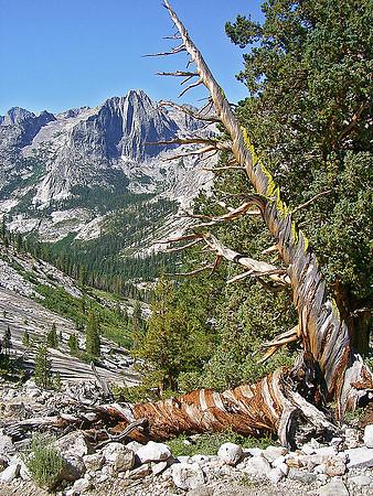 Le Conte Canyon 06