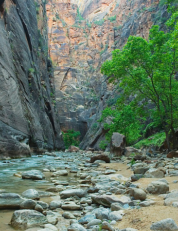 Zion Narrows, Virgin River 9153