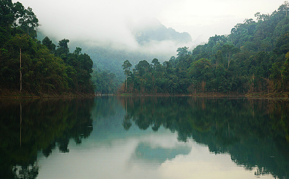 Khao Sok National Park, Thailand 6911